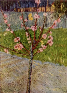 Almendro en flor Vincent van Gogh Pinturas al óleo